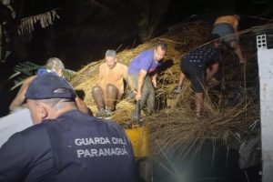 Incêndio Ilha do Mel 1