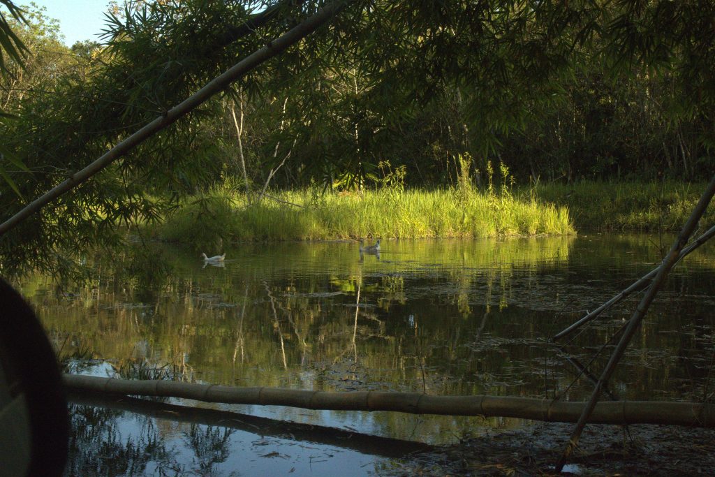 Morretes – Contaminacao agua – RUMO – PONTE ALTA (10)