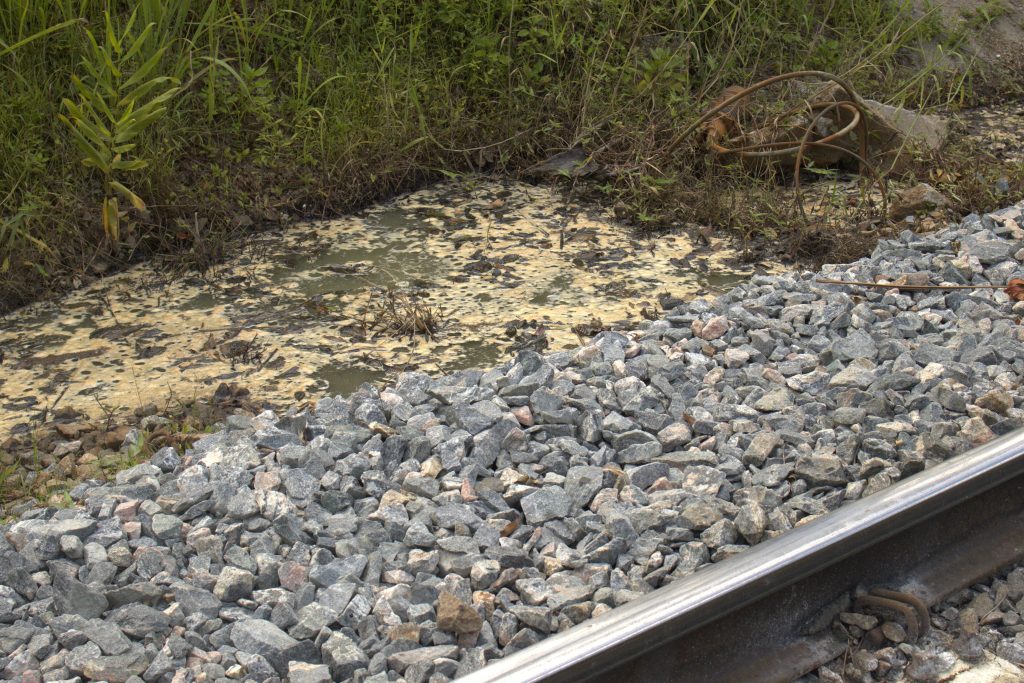 Morretes – Contaminacao agua – RUMO – PONTE ALTA (13)