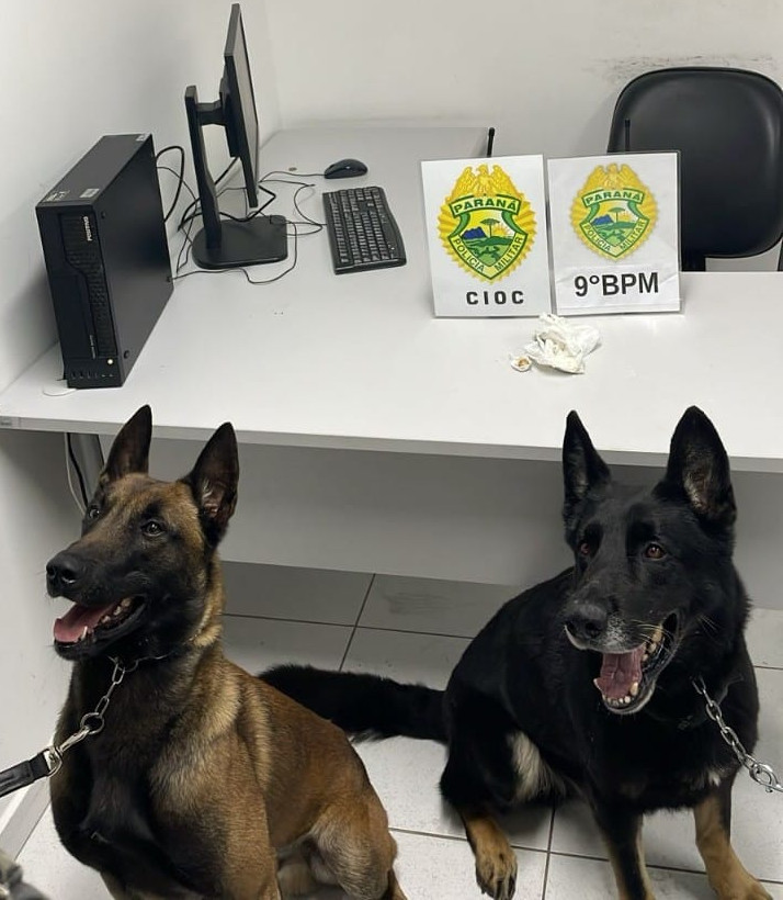 Mulher presa por tráfico de drogas em Paranaguá