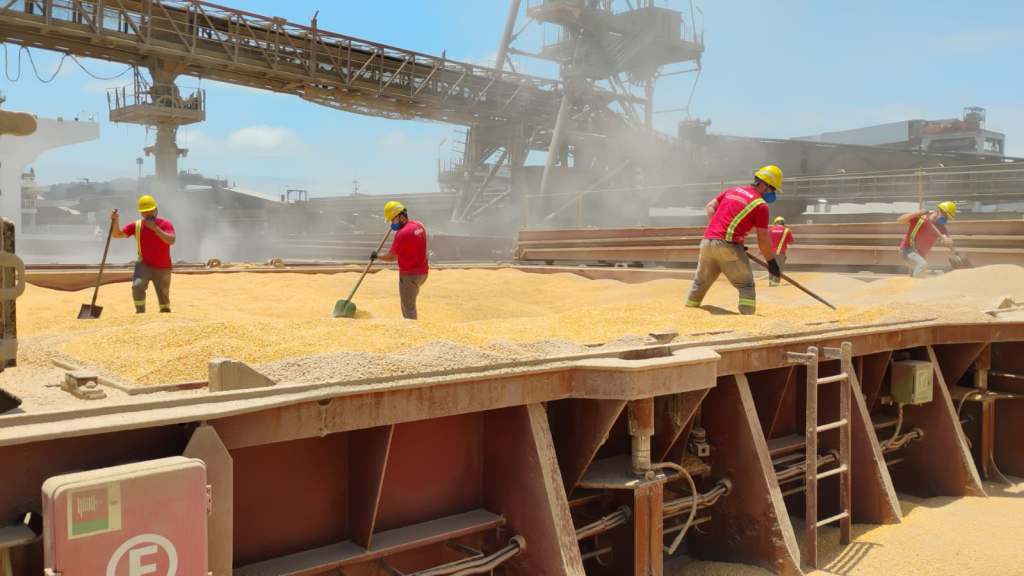 Navio sendo carregado pela Interalli Grãos no Porto de Paranaguá foto – Interalli