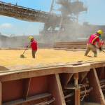 Navio sendo carregado pela Interalli Grãos no Porto de Paranaguá foto – Interalli