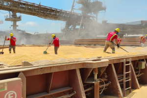 Navio sendo carregado pela Interalli Grãos no Porto de Paranaguá foto – Interalli