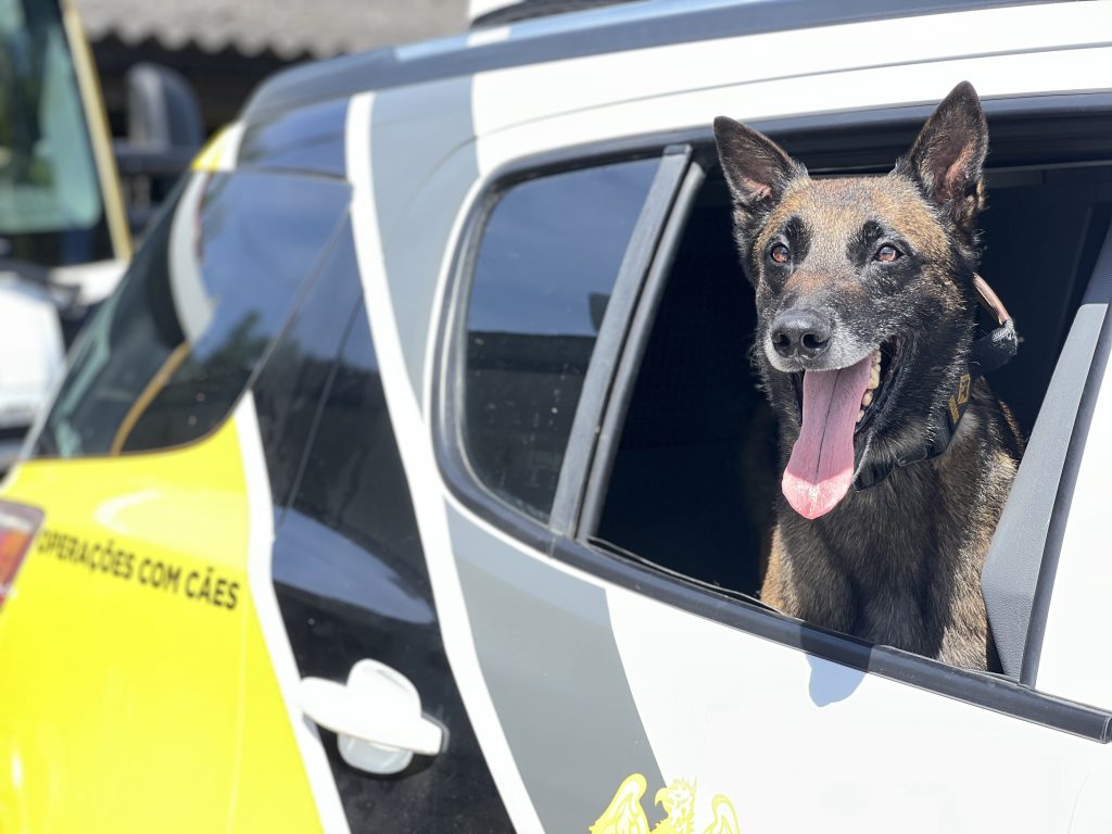 Polícia Militar Rodoviária PR 18