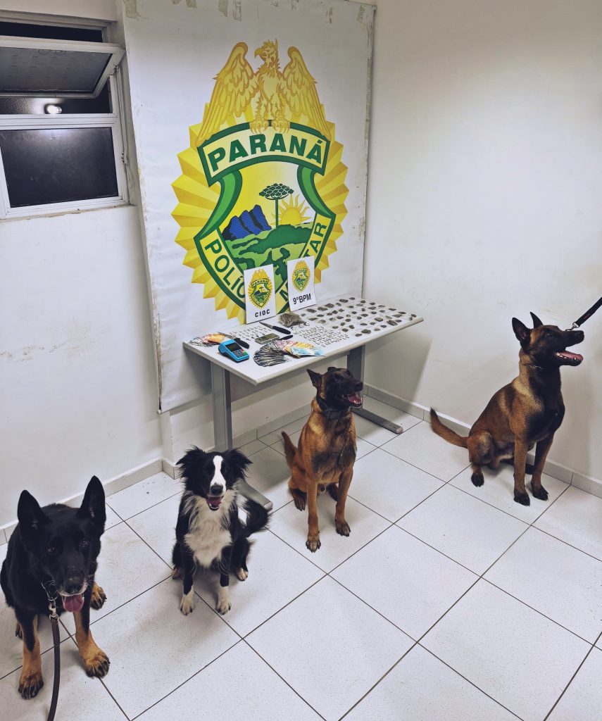 Tráfico de drogas 333