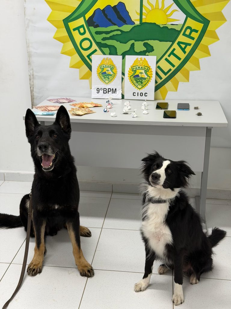 PM usa cães de faro para localizar drogas em Paranaguá