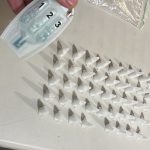Tráfico de drogas em Pontal do Paraná 1
