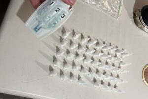 Tráfico de drogas em Pontal do Paraná 1