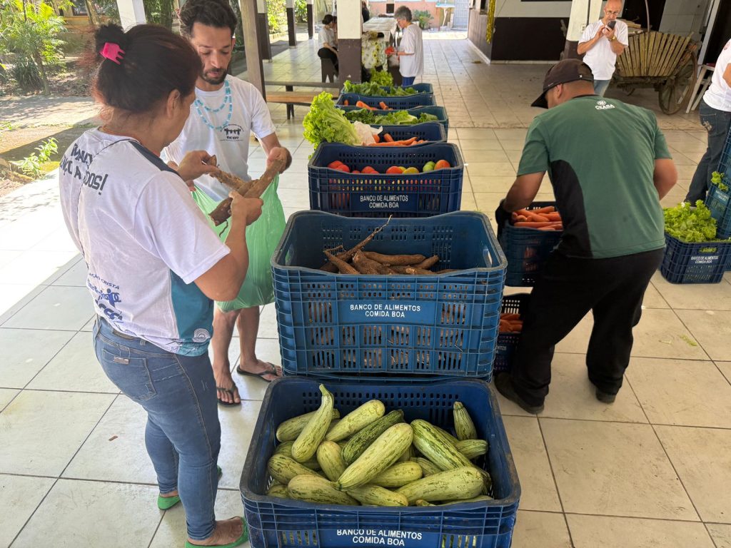 alimentos ACEFI (1)