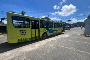 tarifa zero Matinhos