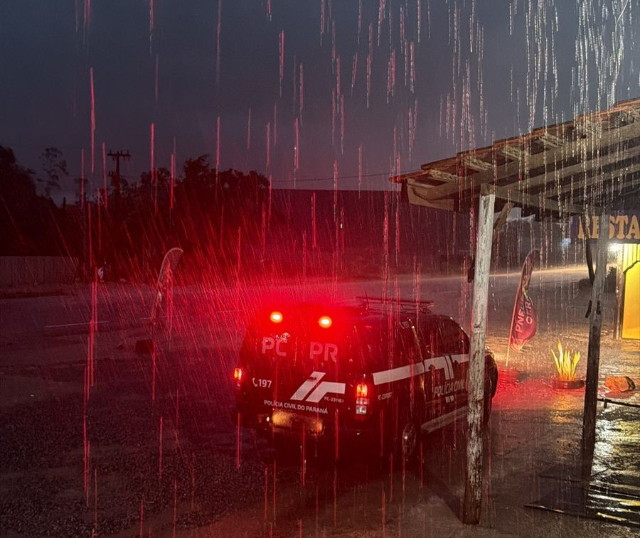 Polícia Civil Estelionato 2