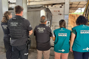 PCPR incinera 22 quilos de drogas em ação conjunta no Litoral