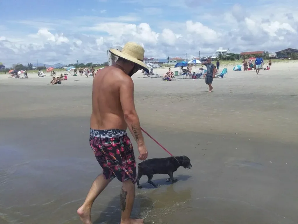 cachorro na praia pontal