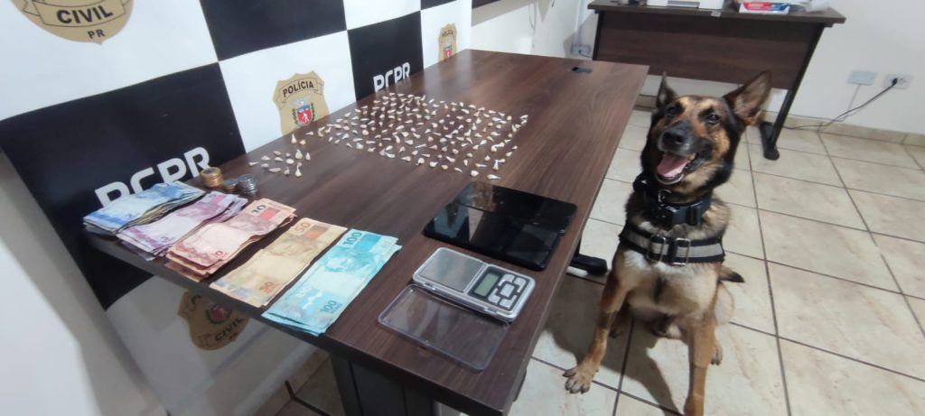 Apreensão de drogas em Guaratuba