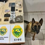 Cão da PM descobre "supermercado" do tráfico em Guaratuba