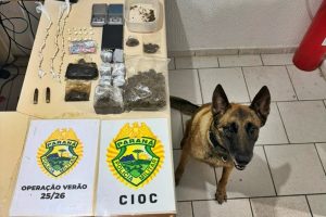 Cão da PM descobre "supermercado" do tráfico em Guaratuba