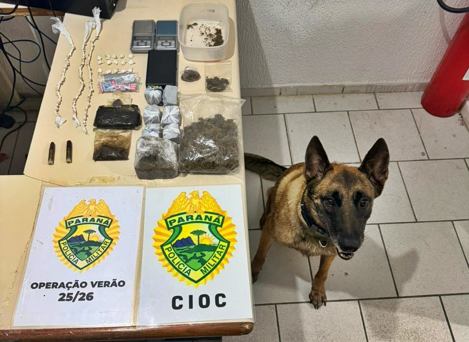 Apreensão drogas Cioc