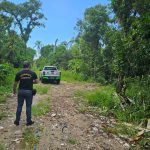 CANAL DE DENUNCIA DE CRIMES AMBIENTAIS IAT – Foto IAT.jpg (2)