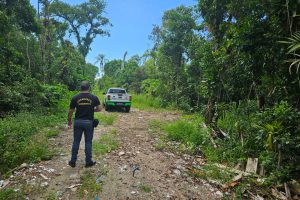 CANAL DE DENUNCIA DE CRIMES AMBIENTAIS IAT – Foto IAT.jpg (2)