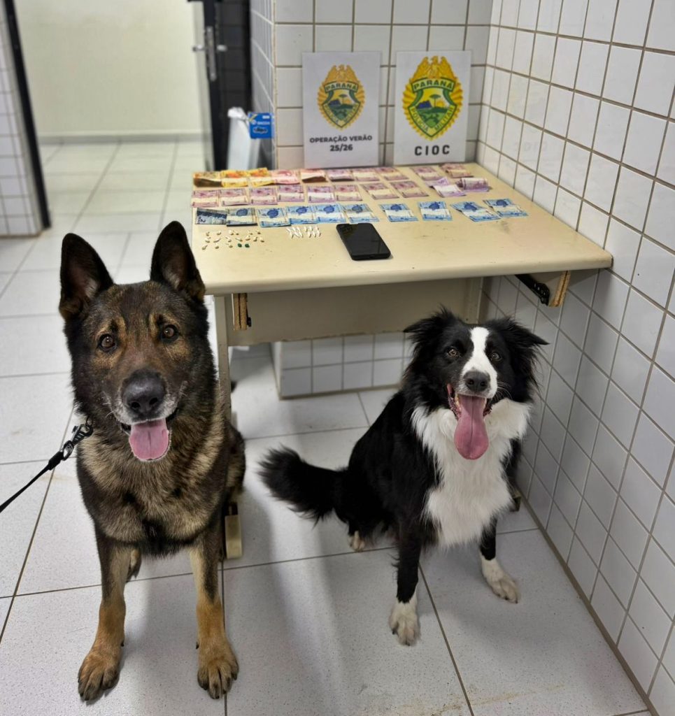 Cão de faro drogas Tabuleiro