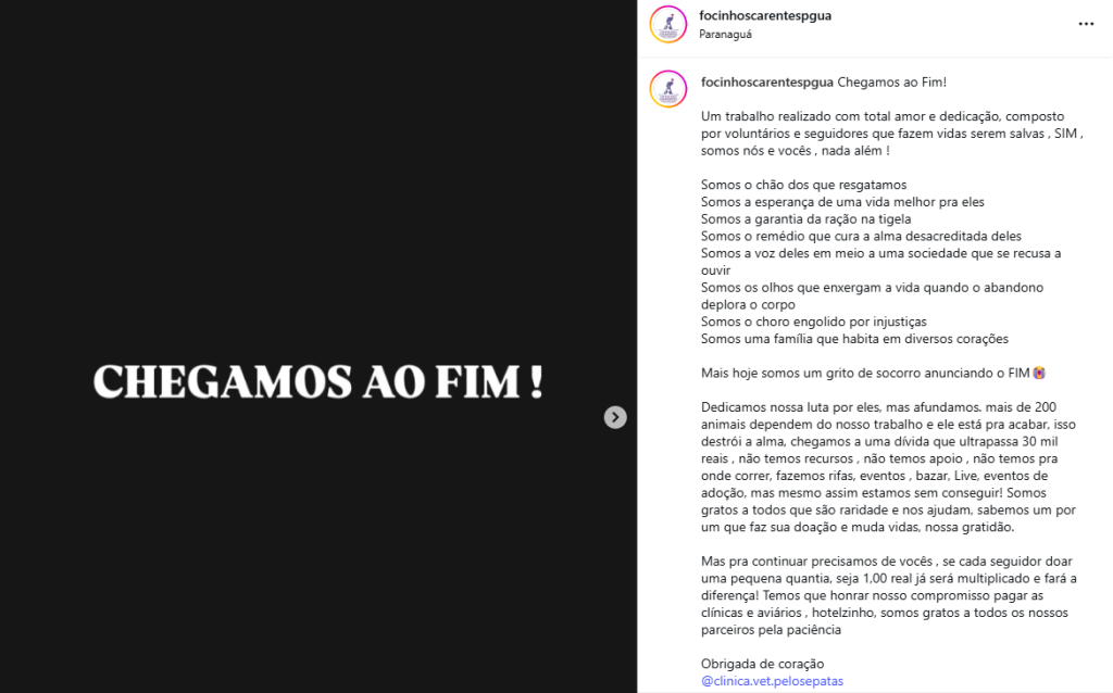 FIM FOCINHOS CARENTE
