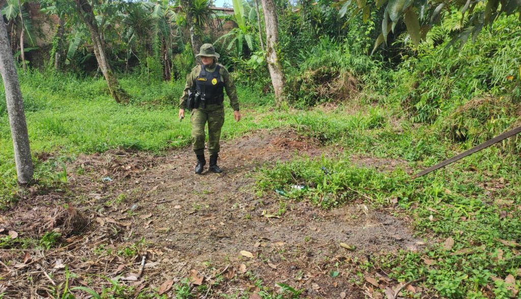 Dono de terreno é multado em R$ 10 mil por dificultar regeneração de vegetação em Guaratuba