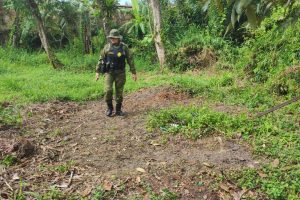 Dono de terreno é multado em R$ 10 mil por dificultar regeneração de vegetação em Guaratuba