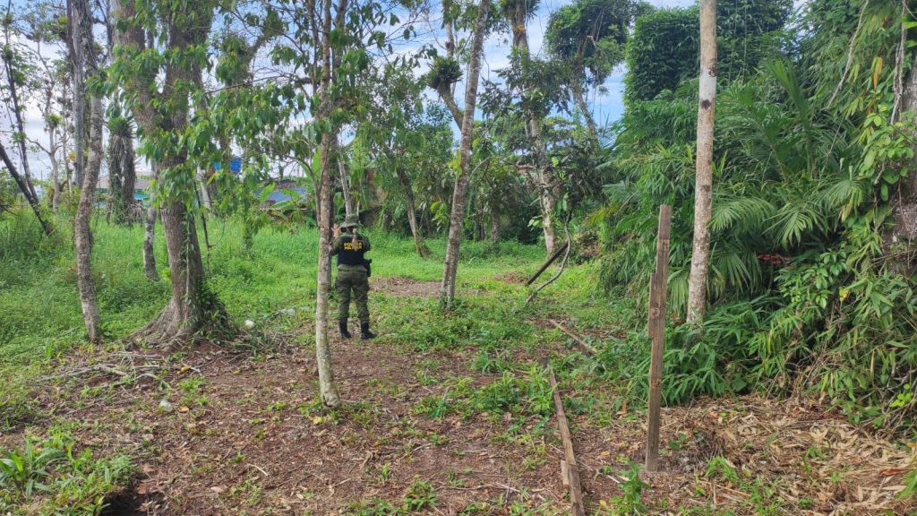 Dono de terreno é multado em R$ 10 mil por dificultar regeneração de vegetação em Guaratuba 2