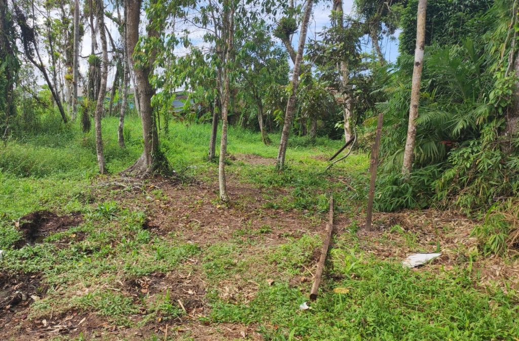 Dono de terreno é multado em R$ 10 mil por dificultar regeneração de vegetação em Guaratuba 3