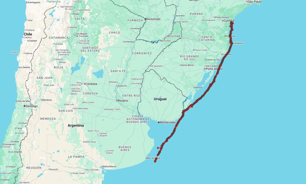 O animal percorreu mais de 1.500 km em menos de um mês – Imagem LEC-UFPR