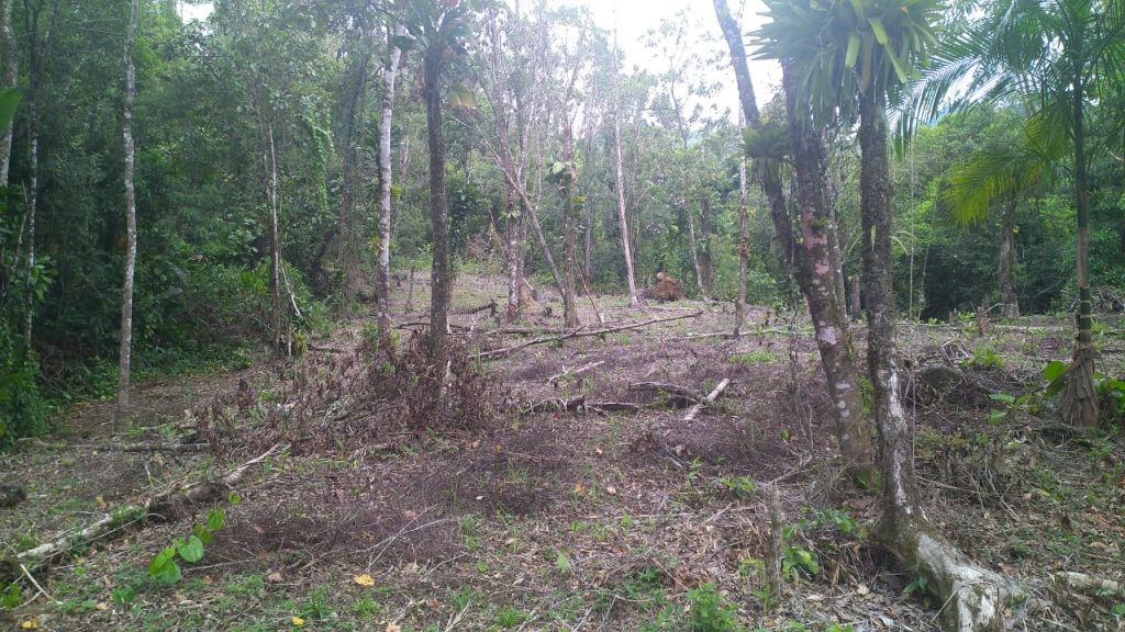 Polícia Ambiental Guaratuba 02