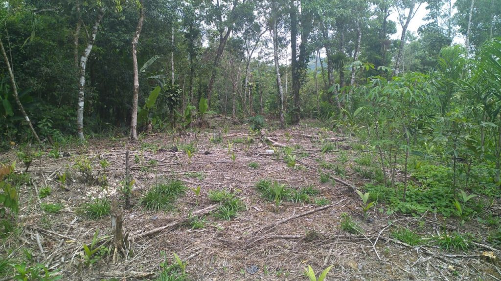 Polícia Ambiental Guaratuba 03