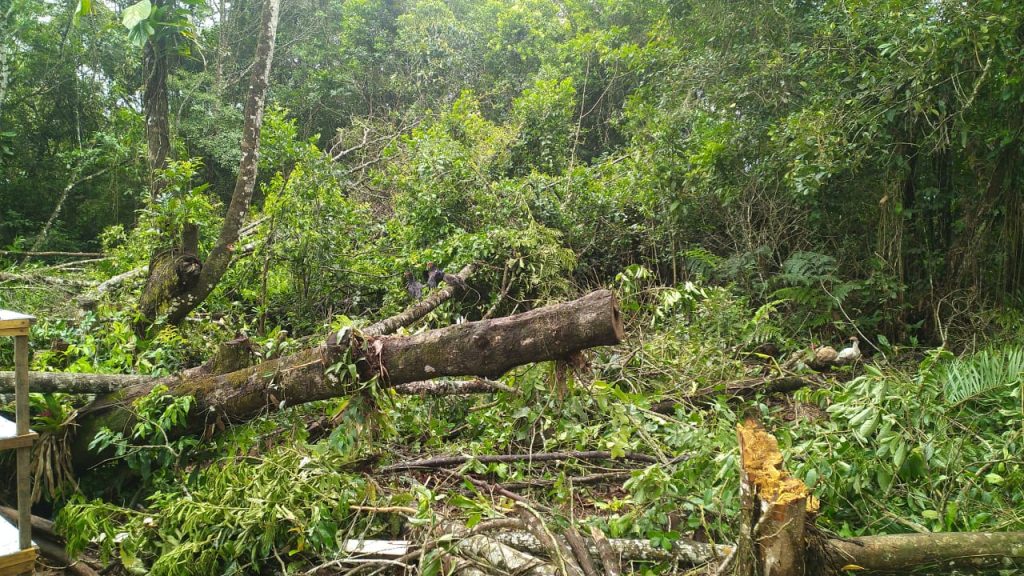 Polícia Ambiental Guaratuba 051