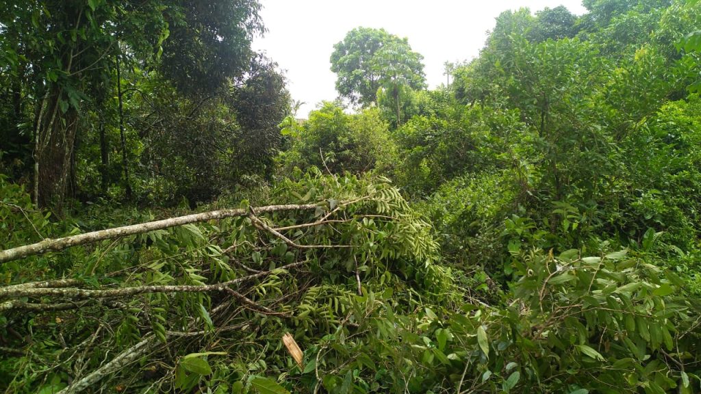 Polícia Ambiental Guaratuba 071