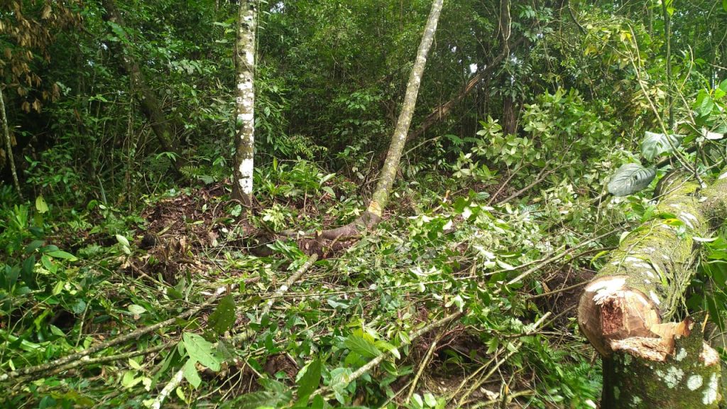 Polícia Ambiental Guaratuba 081