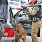 Polícia Rodoviária Estadual Apreensão de Drogas na PR-508