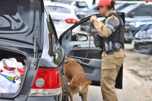 Polícia Rodoviária Estadual Apreensão de Drogas na PR-508