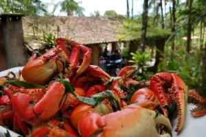 Caranguejo-Restaurante-Ostra-Viva-2-Cred-Rede-Social-1.jpg