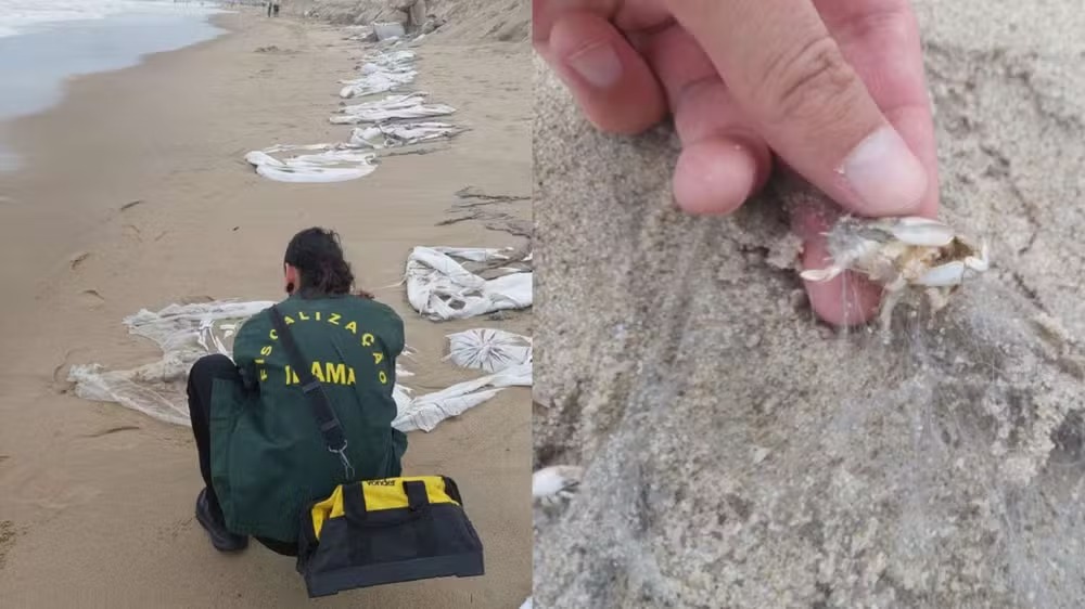 Ibama afirma que os sacos podem se prender a espécies de todos os portes, provocando a morte de animais. Foto: Ibama