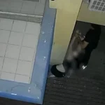 Em março de 2025, um homem foi preso após estuprar a mulher que foi arrastada por ele para um posto de combustíveis desativado, após ambos saírem de uma festa. Foto: Reprodução