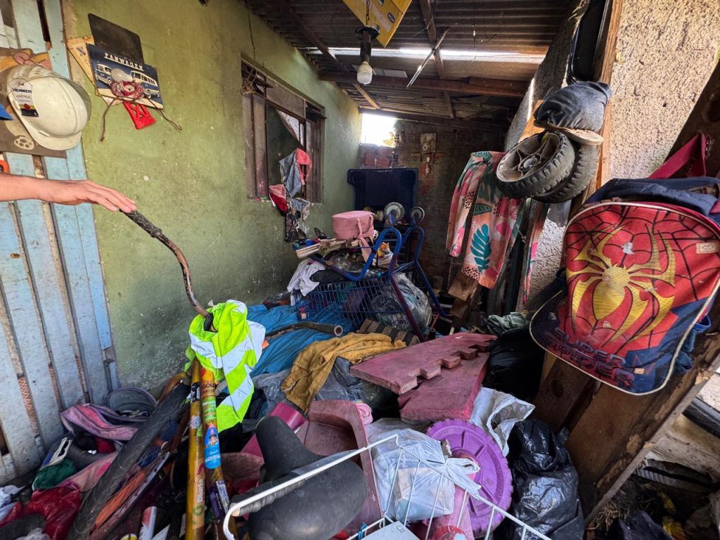 OPERAÇÃO ANIMAIS NO LIXO – FOTO Silvia Costa – PREFEITURA DE PARANAGUÁ (1)