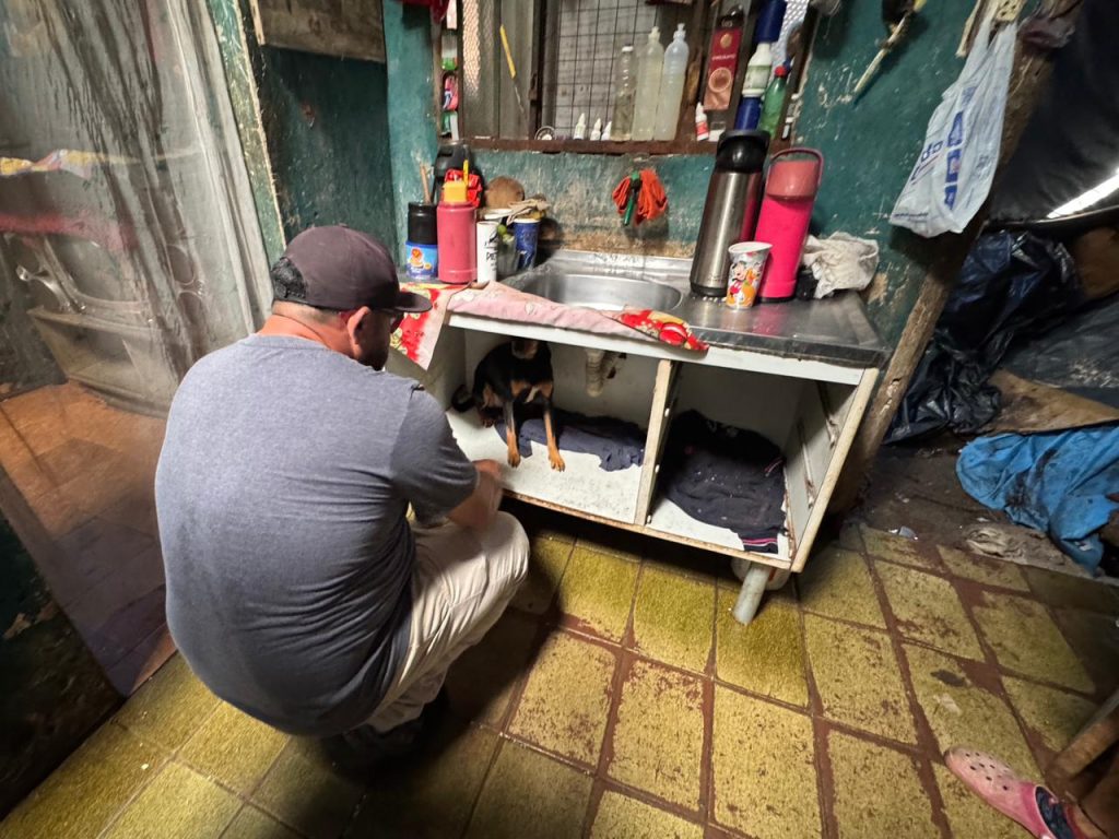 OPERAÇÃO ANIMAIS NO LIXO – FOTO Silvia Costa – PREFEITURA DE PARANAGUÁ (12)