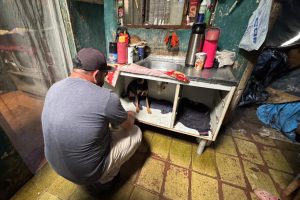 OPERAÇÃO ANIMAIS NO LIXO – FOTO Silvia Costa – PREFEITURA DE PARANAGUÁ (12)