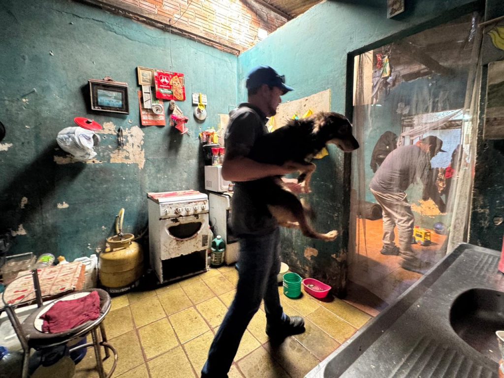 OPERAÇÃO ANIMAIS NO LIXO – FOTO Silvia Costa – PREFEITURA DE PARANAGUÁ (8)