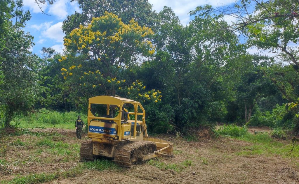 Polícia Ambiental 01