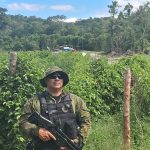 Polícia Ambiental 02