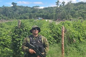 Polícia Ambiental 02