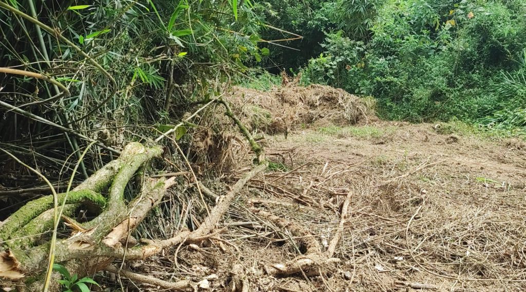 Polícia Ambiental 02