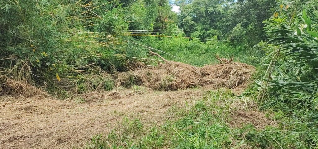 Polícia Ambiental 05