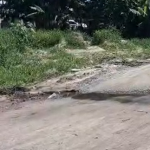 vazamento matinhos